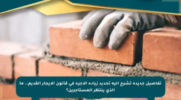 تفاصيل جديدة تشرح آلية تحديد زيادة الأجرة في قانون الإيجار القديم.. ما الذي ينتظر المستأجرين؟